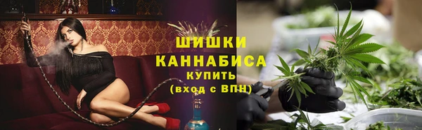 сатива Верхний Тагил