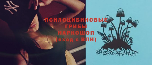 ПСИЛОЦИБИНОВЫЕ ГРИБЫ Горнозаводск
