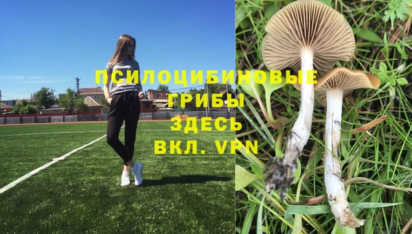 круглые Горняк