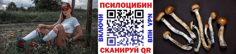 мориарти формула  цена   Заводоуковск  Псилоцибиновые грибы Psilocybine cubensis 